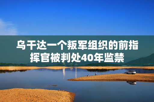 乌干达一个叛军组织的前指挥官被判处40年监禁