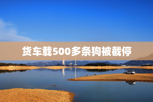 货车载500多条狗被截停